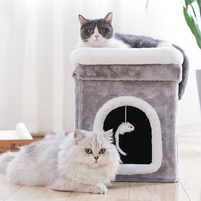 Cat  House Pet House Deep Sleep