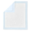 Amazon Basics Dog and Puppy Pads, Leak-proof 5-Layer Pee Pads with Quick-dry Surface for Potty Training, X-Large (28 x 34 Inches) - Pack of 40
