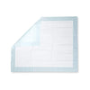 Amazon Basics Dog and Puppy Pads, Leak-proof 5-Layer Pee Pads with Quick-dry Surface for Potty Training, X-Large (28 x 34 Inches) - Pack of 40