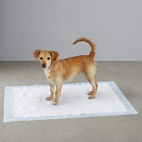 Amazon Basics Dog and Puppy Pads, Leak-proof 5-Layer Pee Pads with Quick-dry Surface for Potty Training, X-Large (28 x 34 Inches) - Pack of 40