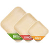 10" Palm Leaf Plates - Alternative to Disposable Bamboo Plates - Compostable, Biodegradable & Eco-Friendly Party Plates By Aevia (50 Pack, Square)