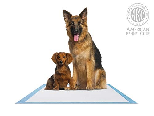 American Kennel Club 50 Count X-Large Training Pads, 30-Inch by 28-Inch