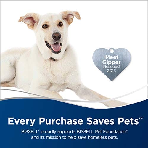 Bissell Zing Canister, 2156A Vacuum, Green Bagless