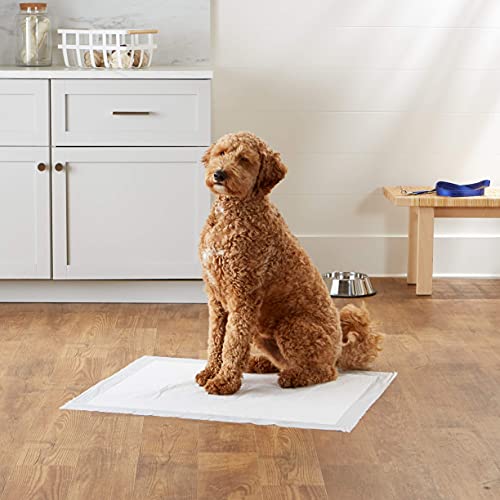 Amazon Basics Dog and Puppy Pads, Leak-proof 5-Layer Pee Pads with Quick-dry Surface for Potty Training, X-Large (28 x 34 Inches) - Pack of 40