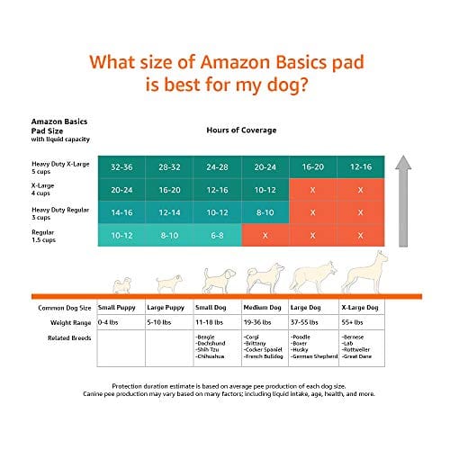 Amazon Basics Dog and Puppy Pads, Leak-proof 5-Layer Pee Pads with Quick-dry Surface for Potty Training, X-Large (28 x 34 Inches) - Pack of 40