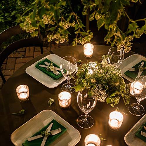 10" Palm Leaf Plates - Alternative to Disposable Bamboo Plates - Compostable, Biodegradable & Eco-Friendly Party Plates By Aevia (50 Pack, Square)