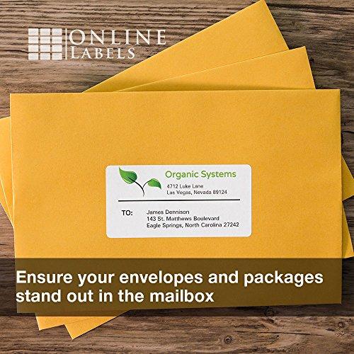 4 x 2 Rectangle Mailing Labels - Permanent, White Matte - Address, Shipping, Gift Labels - Pack of 100 Labels, 10 Sheets - Inkjet/Laser Printers - Online Labels