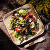 10" Palm Leaf Plates - Alternative to Disposable Bamboo Plates - Compostable, Biodegradable & Eco-Friendly Party Plates By Aevia (50 Pack, Square)