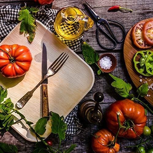 10" Palm Leaf Plates - Alternative to Disposable Bamboo Plates - Compostable, Biodegradable & Eco-Friendly Party Plates By Aevia (50 Pack, Square)