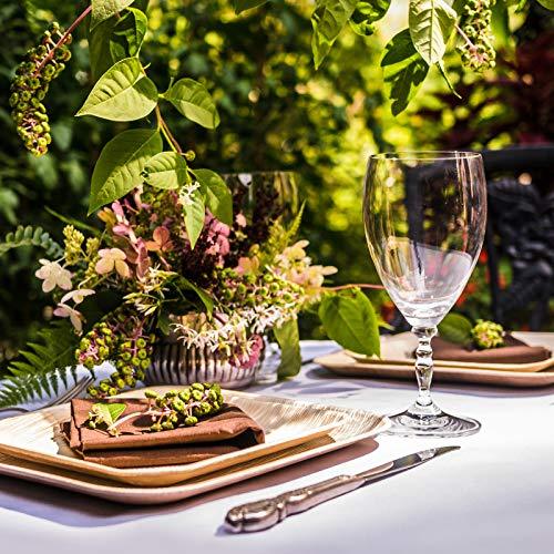 10" Palm Leaf Plates - Alternative to Disposable Bamboo Plates - Compostable, Biodegradable & Eco-Friendly Party Plates By Aevia (50 Pack, Square)