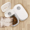 Timer Stainless Steel Bowl Auto Dog, Cat Pet Feeding