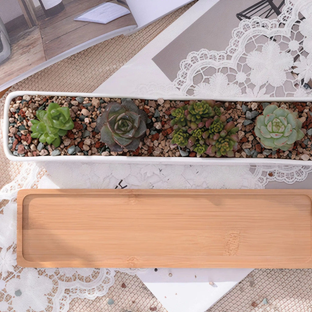 Succulent Planter-Long