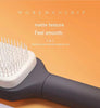 4-in-1 Self-Cleaning Hairbrush