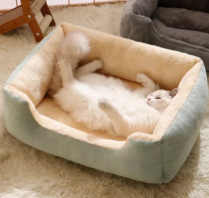 All-in-One Cat and Dog Bed