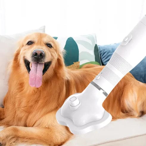 2-in-1 Pet Hair Dryer & Fur Remover