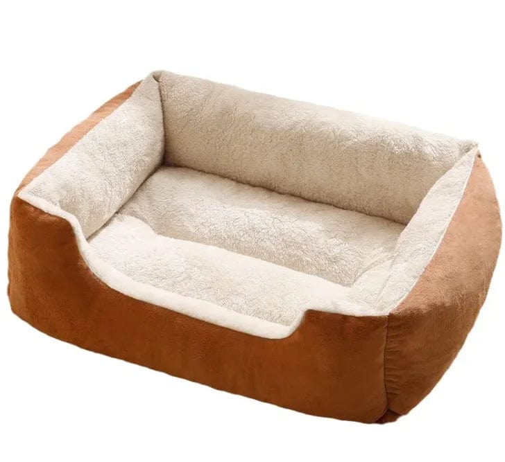 All-in-One Cat and Dog Bed