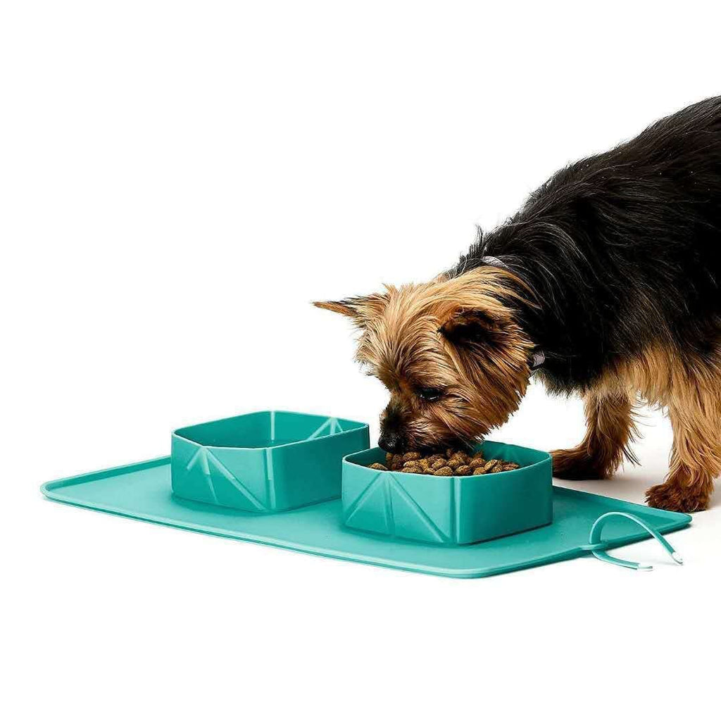 Silicone folding pet bowl non-slip