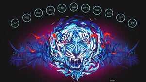 NEWCorelDRAW Graphics Suite 2021