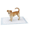 Amazon Basics Dog and Puppy Pads, Leak-proof 5-Layer Pee Pads with Quick-dry Surface for Potty Training, X-Large (28 x 34 Inches) - Pack of 40