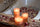 Chesapeake Bay Candle Scented Candles, Love + Passion (Grapefruit Mango), Medium (2-Pack)