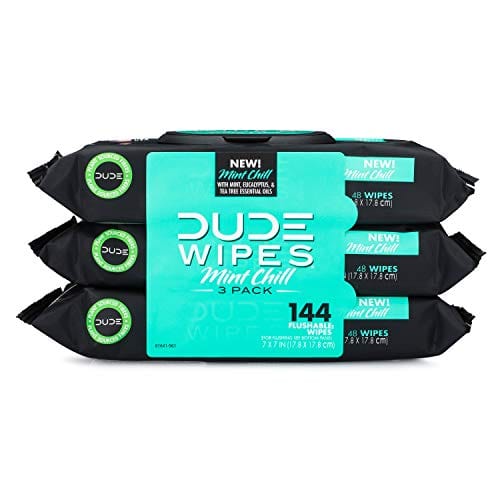 DUDE Wipes Flushable Wet Wipes Dispenser, Mint Chill, 48 Count (Pack of 3) Scented Wet Wipes with Vitamin-E, Aloe, Eucalyptus & Tea Tree