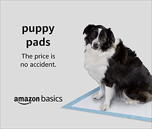 Amazon Basics Dog and Puppy Pads, Leak-proof 5-Layer Pee Pads with Quick-dry Surface for Potty Training, X-Large (28 x 34 Inches) - Pack of 40