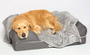 PetFusion Premium Pet Blanket, Multiple Sizes for Dogs & Cats. [Reversible Micro Plush]. 100% Soft Polyester