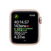 (Refurbished) Apple Watch Series 5 (GPS + Cellular, 40MM) - Gold Aluminum Case with Pink Sand Sport Band