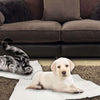 Self Heating Dog Cat Blanket Pet Bed Thermal Washable