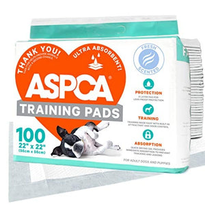 ASPCA AS62930 Dog Training Pads, Pack of 100, Gray, 22