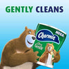 Charmin Ultra Gentle Toilet Paper, 6 Count (Pack of 3) = 18 Mega Roll Total