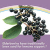 Nature's Way Sambucus Elderberry Kid's Gummies, Black Elderberry with Vitamin C and Zinc, 60 Count
