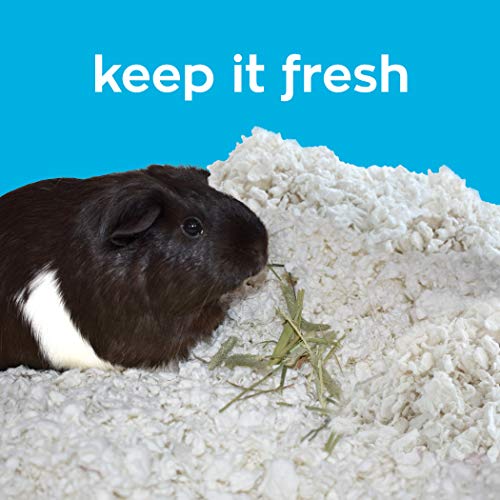 carefresh 99% Dust Free White Natural Paper Small Pet Bedding with Odor Control, 50 L