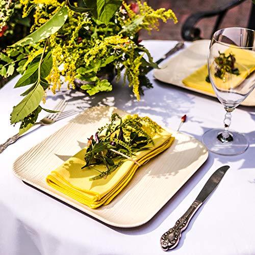 10" Palm Leaf Plates - Alternative to Disposable Bamboo Plates - Compostable, Biodegradable & Eco-Friendly Party Plates By Aevia (50 Pack, Square)