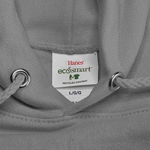 Hanes Men's Pullover EcoSmart Hooded Sweatshirt, ash, Small