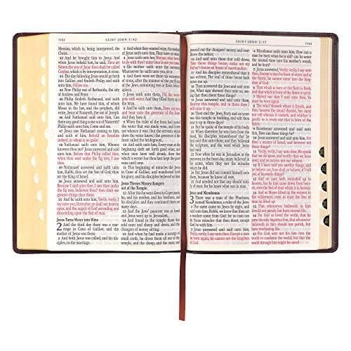 KJV Holy Bible, Giant Print Full-Size, Antiqued Brown Faux Leather w/Ribbon Marker, Red Letter, Thumb Index, King James Version