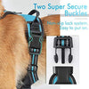 rabbitgoo Dog Harness, No-Pull Pet Harness with 2 Leash Clips, Adjustable Soft Padded Dog Vest, Reflective No-Choke Pet Oxford Vest