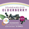 Nature's Way Sambucus Elderberry Kid's Gummies, Black Elderberry with Vitamin C and Zinc, 60 Count