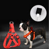 Pet Products LED Luminous Dog Chest Strap Large Dog Luminous Dog Leash