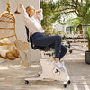 FLEXISPOT Sit2Go Desk Chair Adjustable Exercise Workstation Cycle Desk Bike for Home and Office, White