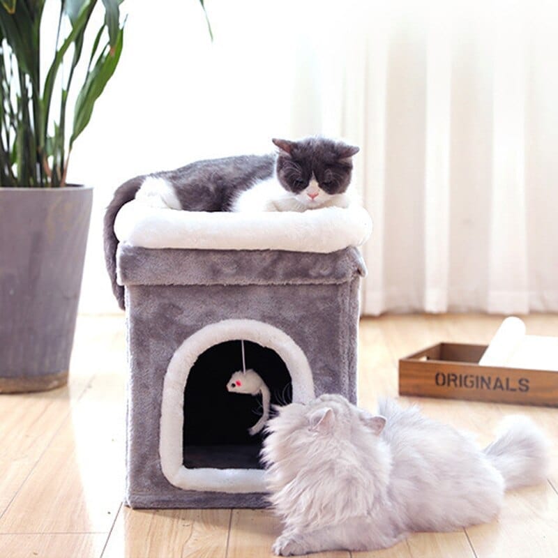 Cat  House Pet House Deep Sleep