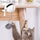 Funny Electric Cat Toy Lifting Ball Cats Teaser Toy