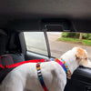 Comfortable Dog Seat Belt Harness for Car - 2-in-1 Leash and Restraint Secures to Headrest
