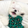 Knitted Dog Leopard-print Sweater Small Dog Pet Dog Cat Clothes