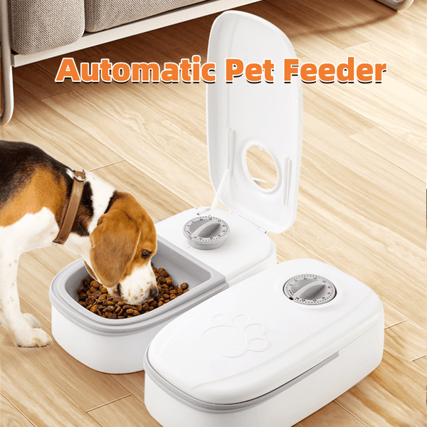 Timer Stainless Steel Bowl Auto Dog, Cat Pet Feeding
